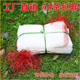 10-30目稻谷 精選顆粒，優質糧源的多維解析
