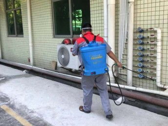 深圳臭蟲防治 工廠、宿舍、辦公室與家庭全面消殺指南